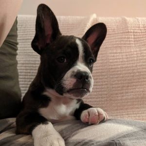 Meet your Posher, Lu